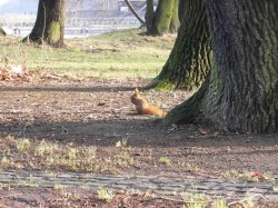 YA-Neujahrsspaziergang (2)